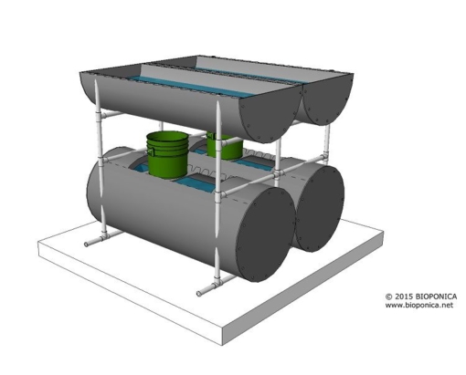 indoor aquaponics