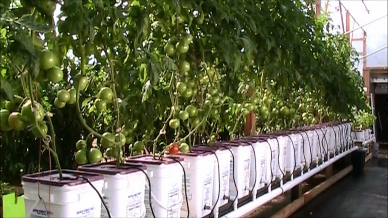 hydroponics systems