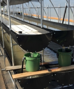 vertical hydroponics grow system aquaculture