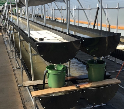 vertical hydroponics grow system aquaculture