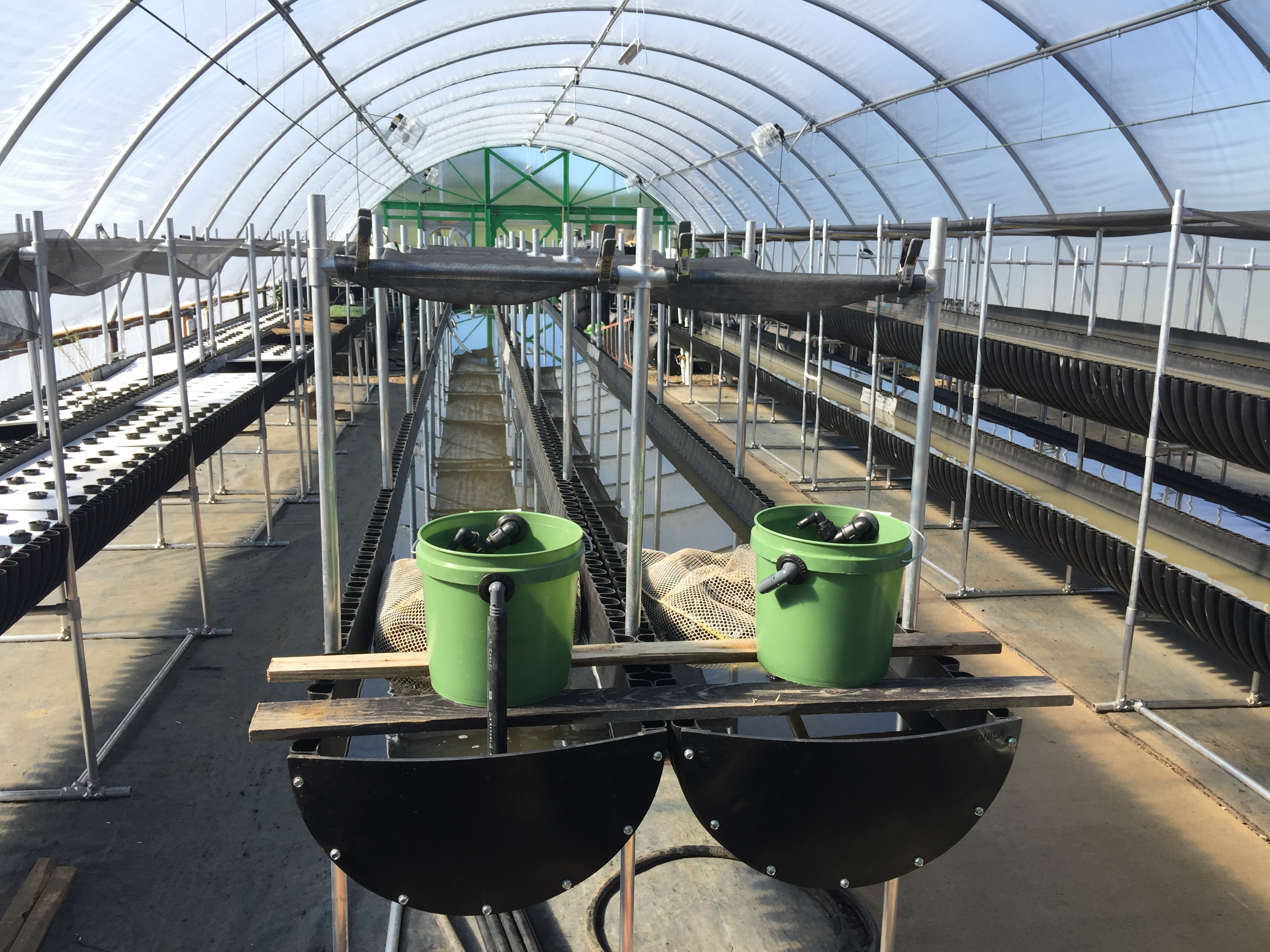 hydroponics farm for sale