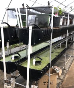 vertical hydroponics systems