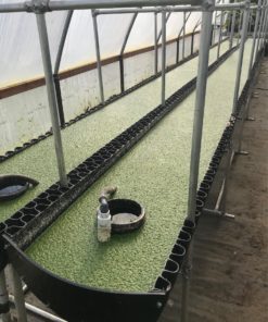 hydroponics grow system