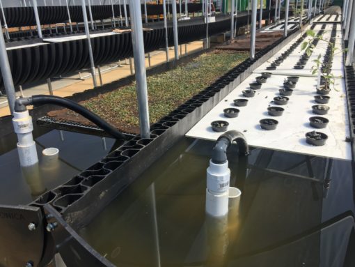 hydroponics growing systems