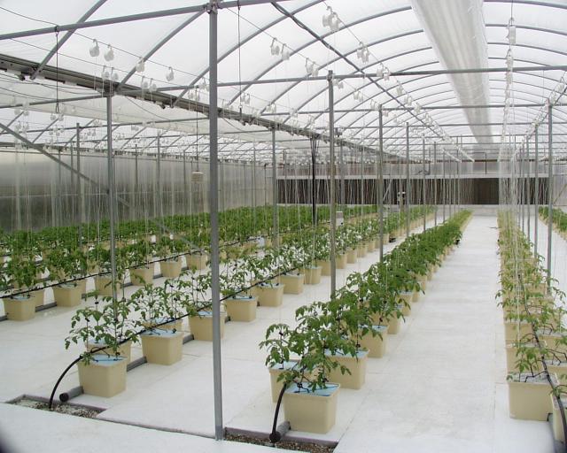hydroponics growing systems for sale